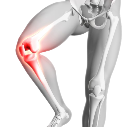Ayurvedic Knee Joint Treatment Science